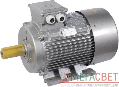Электродвигатель АИР DRIVE 3ф 200M6 660В 22кВт 1000об/мин 1081 IEK DRV200-M6-022-0-1010