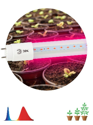 Лампа светодиодная FITO-18W-RB-Т8-G13-NL 18Вт T8 линейная 96LED 2835 IP20 35000ч для растений/для подсветки мясных витрин красн./син. спектр стекло Эра Б0042990