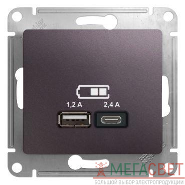Розетка USB Glossa тип A+C 5В/2.4А 2х5В/1.2А механизм сирен. туман SchE GSL001439