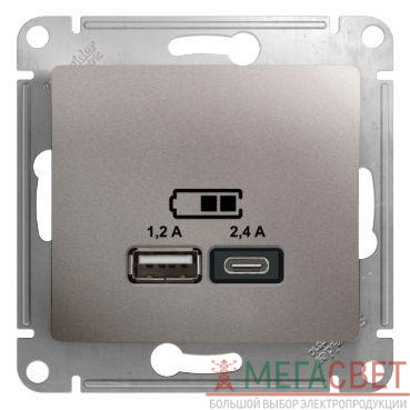 Розетка USB Glossa тип A+C 5В/2.4А 2х5В/1.2А механизм платина SchE GSL001239