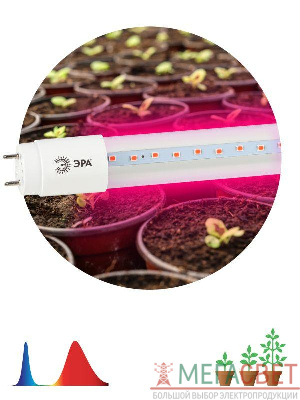 Лампа светодиодная для растений FITO-9W-RB-Т8-G13-NL Т8 48LED 2835 IP20 35000ч стекло красн./син. ЭРА Б0042986