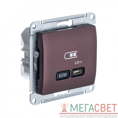 Розетка USB GLOSSA тип C 65Вт QC PD механизм баклаж. SchE GSL001127