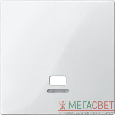 Плата Merten центральная с окошком для свет. инд. для выкл. со шнуром бел. SchE MTN3380-0319