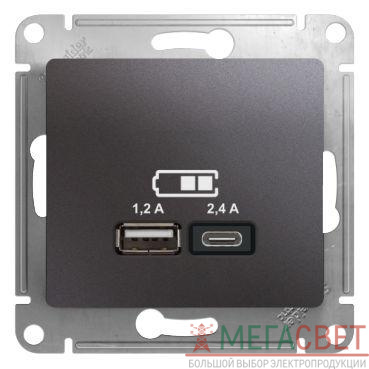 Розетка USB Glossa тип A+C 5В/2.4А 2х5В/1.2А механизм графит SchE GSL001339