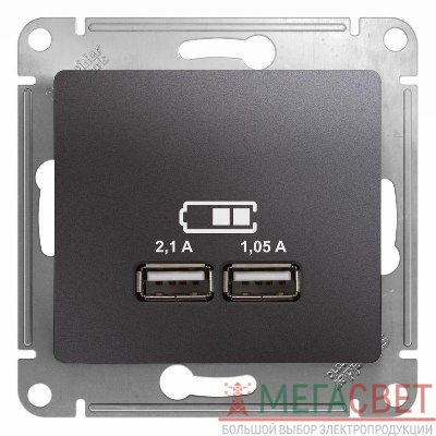 Розетка USB 2-м СП Glossa тип A+A 5В/2100мА 2х5В/1050мА механизм графит SchE GSL001333
